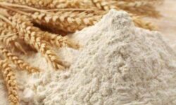 Best Wheat Flour Brand in India – Best Atta Brands